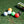 SNY Mixed Edition golf balls package from SNYDER Golf USA